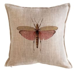 Cojin Antique Fly 45x45 Beige