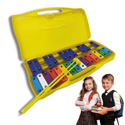 Metalofono 25 Notas Cromatico Placas Colores