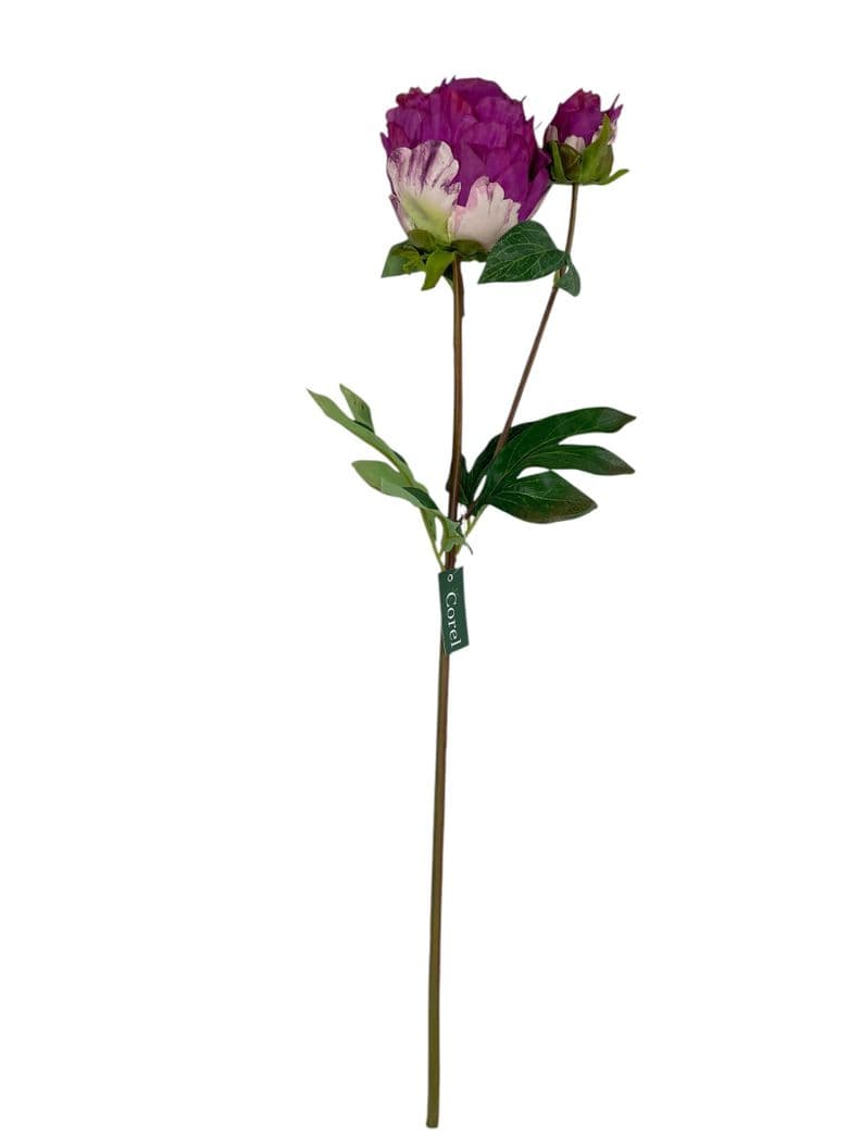 Peonia Cerrada Fucsia 57cm Artificial | Estilo Natural para Interiores y Vitrinas