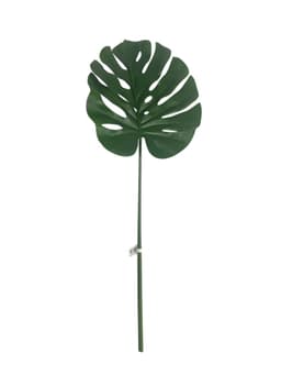 Hoja de Monstera 100cm Artificial | Estilo Natural para Interiores y Vitrinas Verde