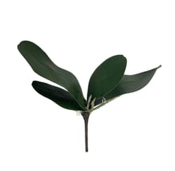 Hojas de Orquidea 24cm Artificial | Estilo Natural para Interiores y Vitrinas Verde