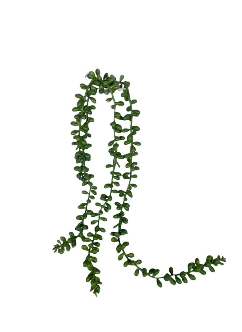 Suculenta Rosario 48cm Artificial | Estilo Natural para Interiores y Vitrinas Verde