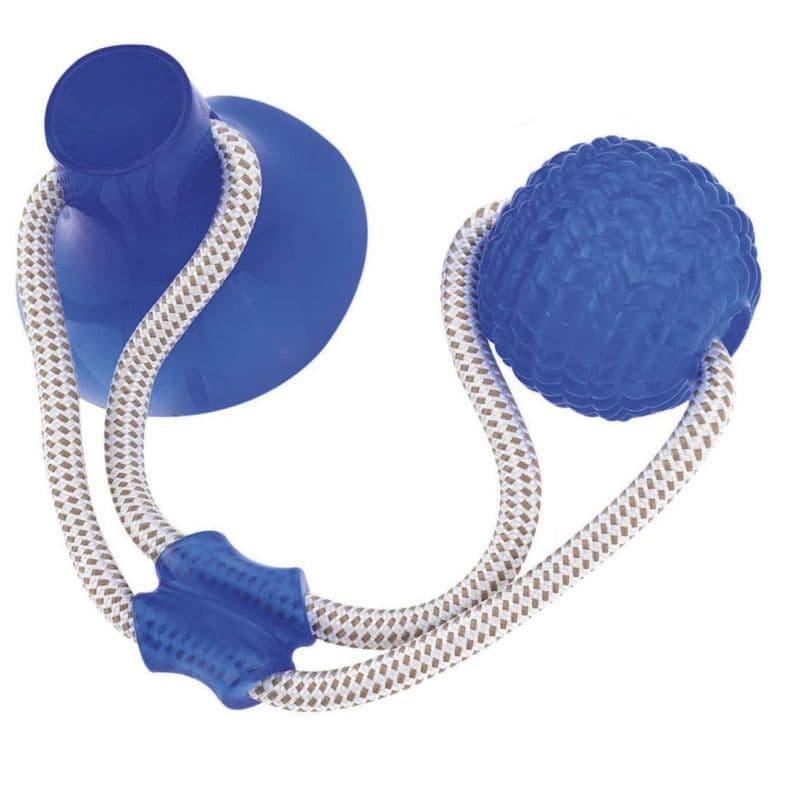 Juguete Perro con Ventosa y Pelota Elastico Duradero - PS