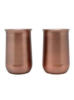 Set 2 Vasos Aperitivo Copper Line 230 ml
