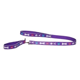 Collar Con Correa Morada Promise Pets Build-a-bear