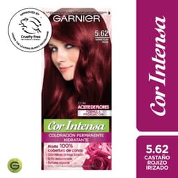 Coloracion Cor Intensa Garnier Cabello 5.62 Castano Rojizo Irizado