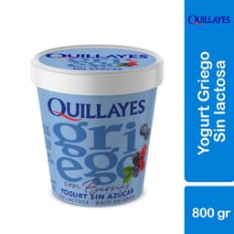 Yoghurt Griego sin Azucar Sabor Berries Pote, 800 gr