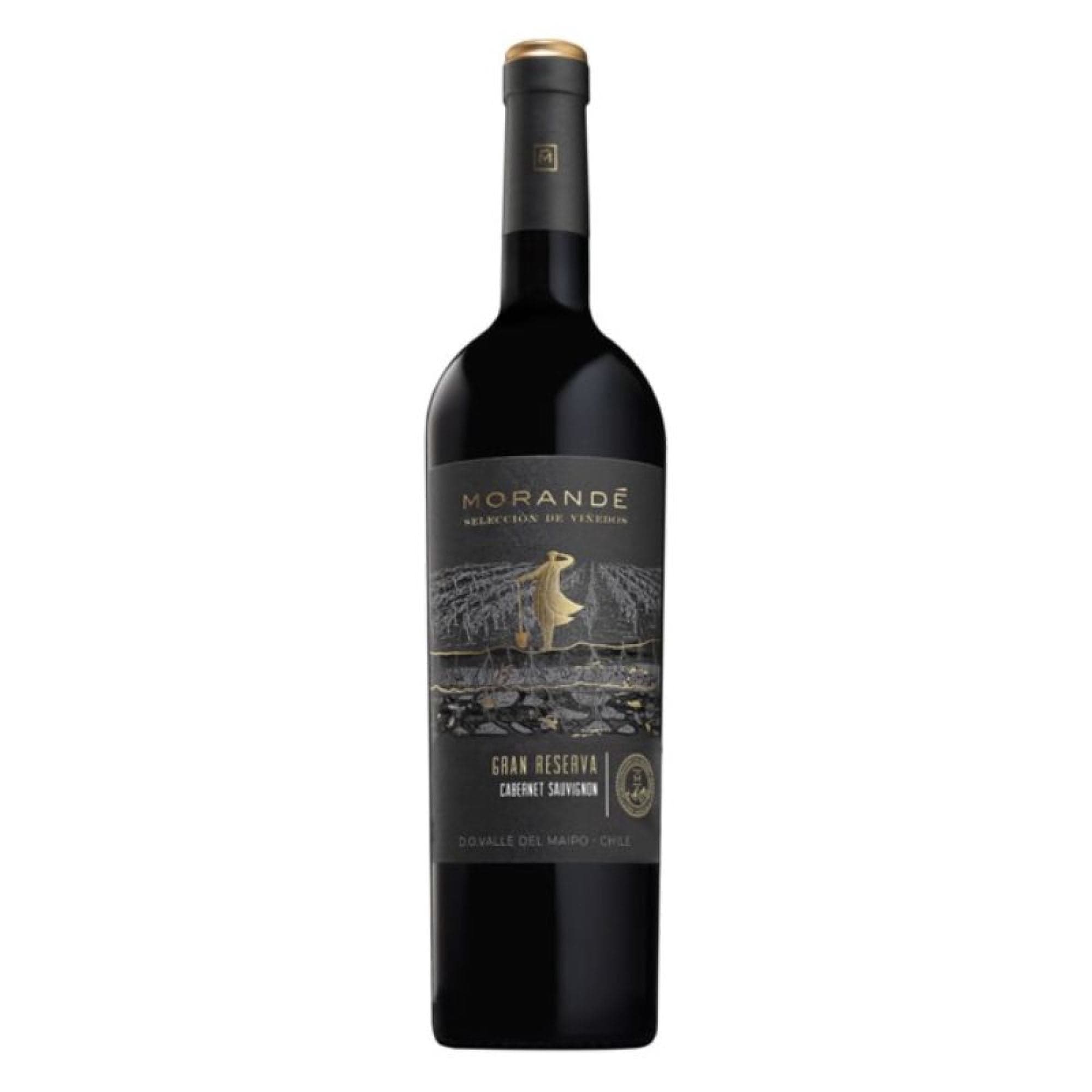 Vino Tinto Cabernet Sauvignon Terrarum Botella