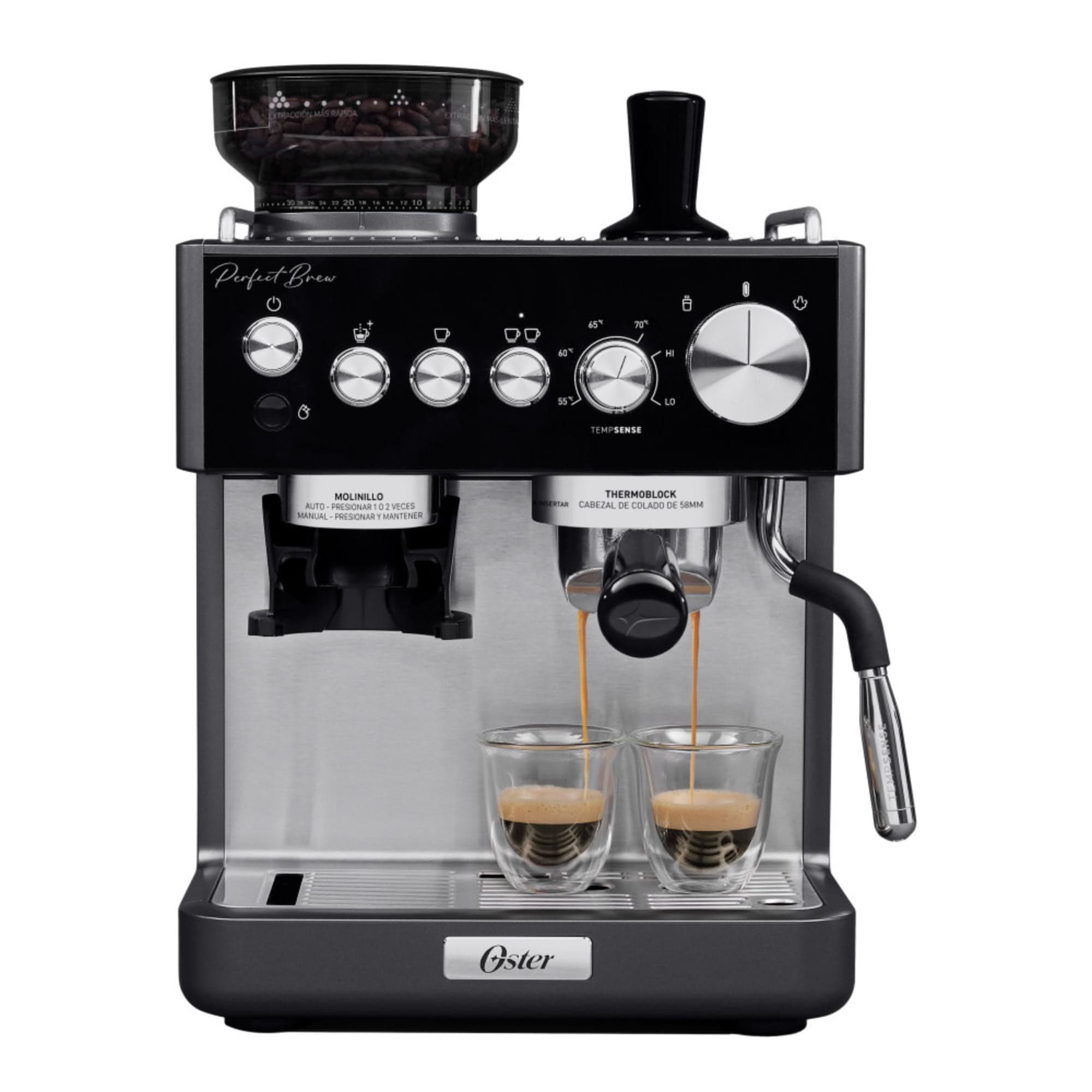 Cafetera Perfect Brew Oster para espresso BVSTEM7301 Gris