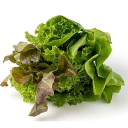 Lechuga TRio Hidroponica Bolsa, 1 Un