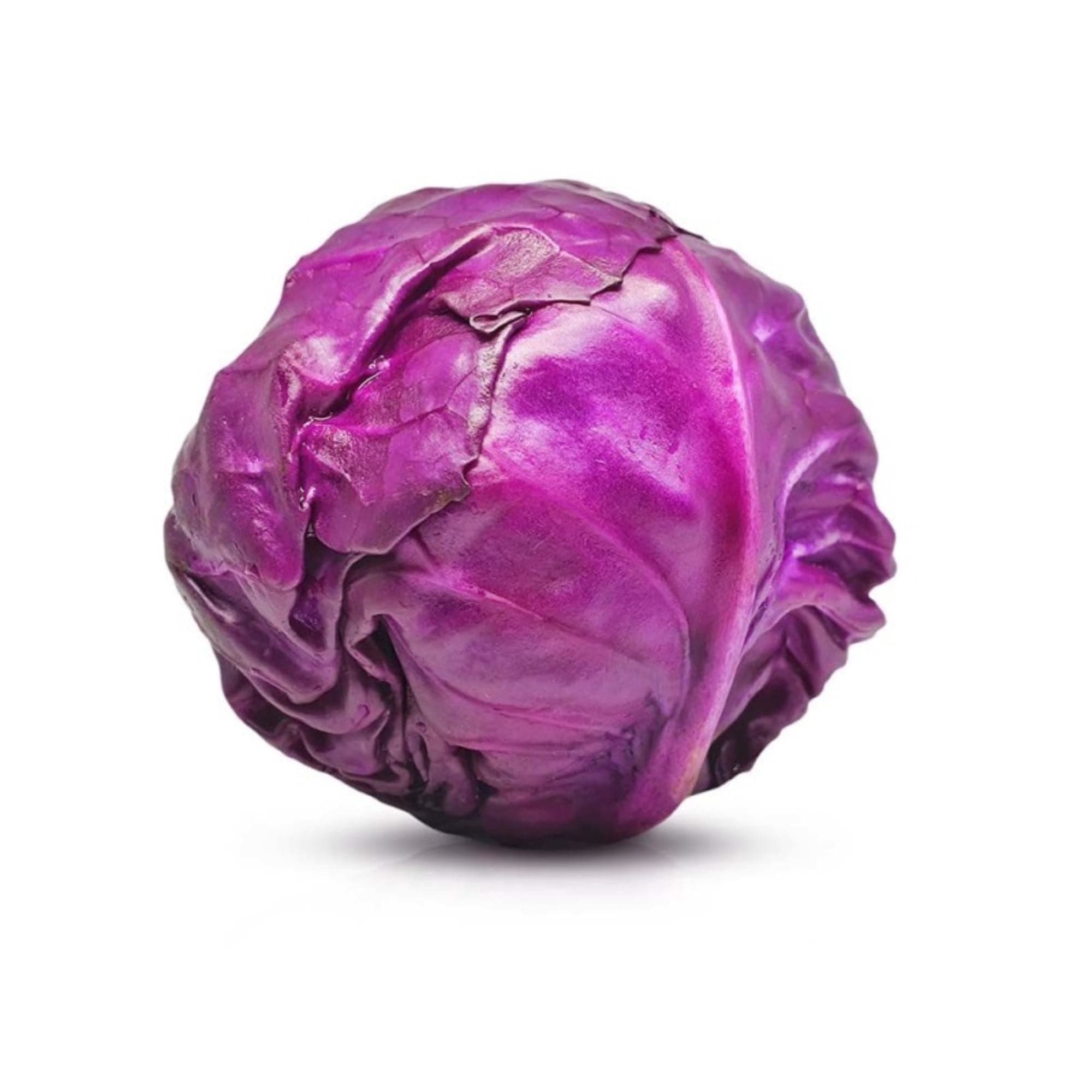 Repollo Morado, 1 Un