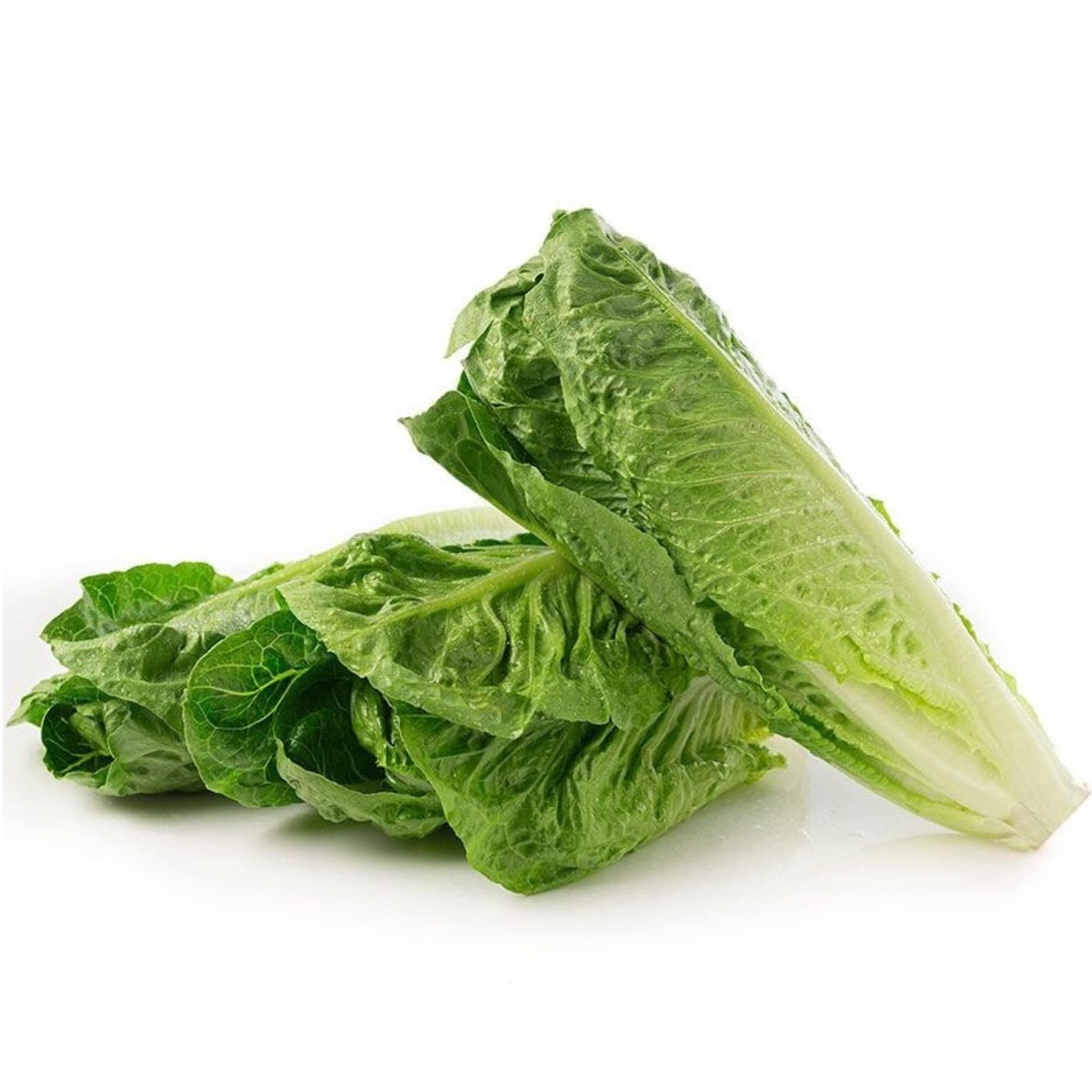 Lechuga 3 Corazones de Costina Bolsa, 1 Un
